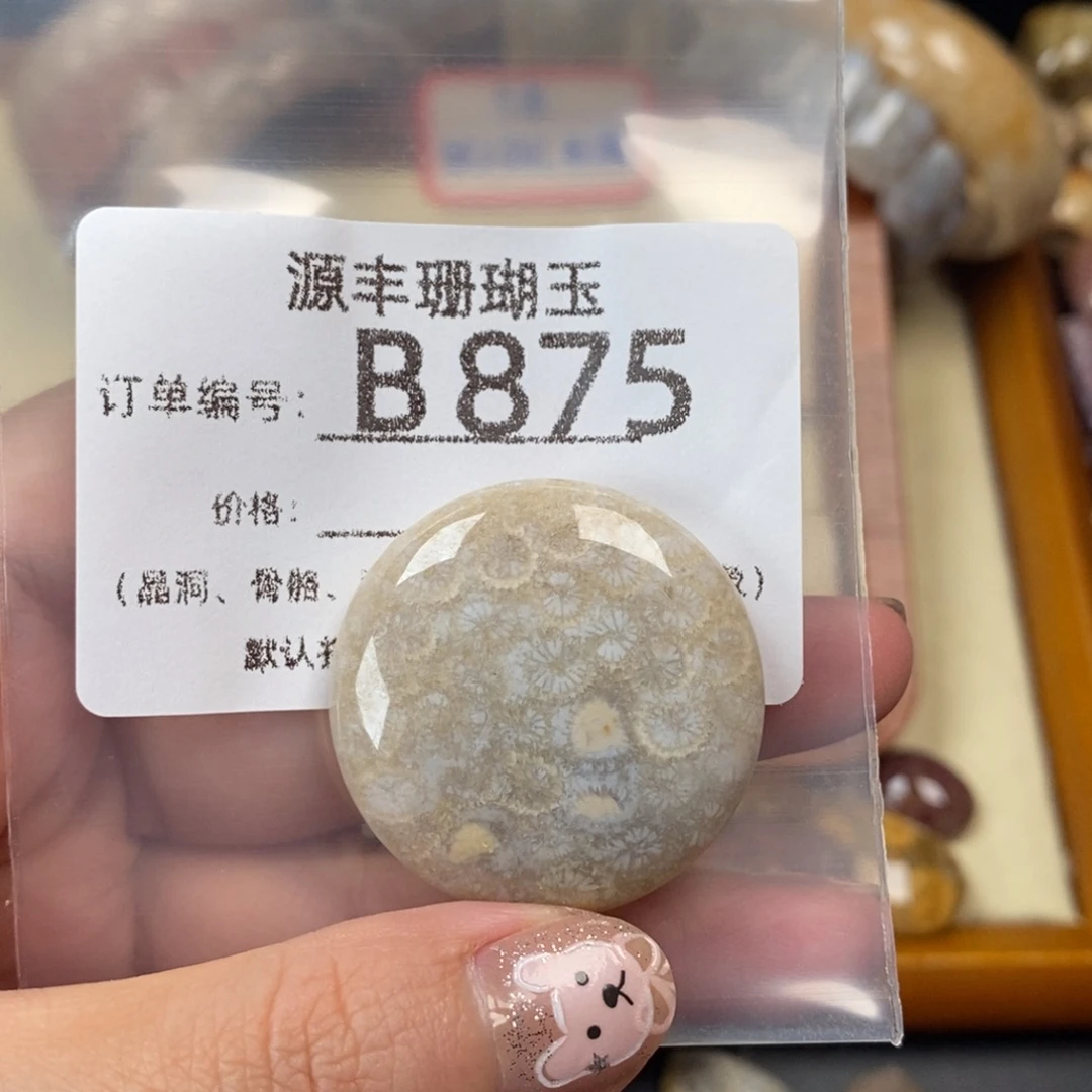 ****️未镶嵌颈饰硅化玉