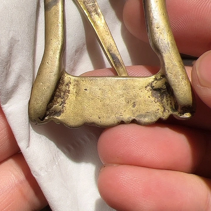 香榧木在这里的时候