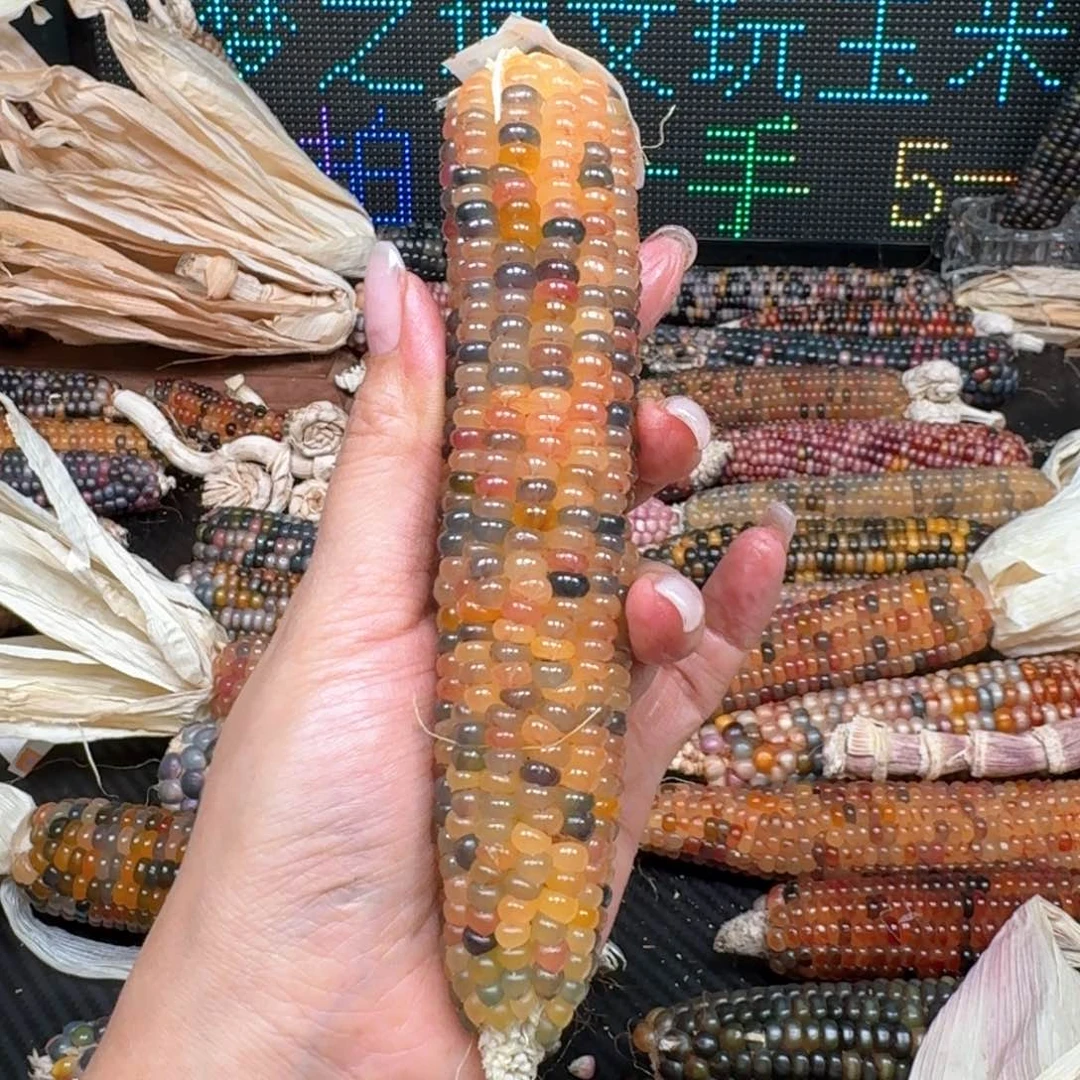 柏香籽/百香籽吊坠徃*