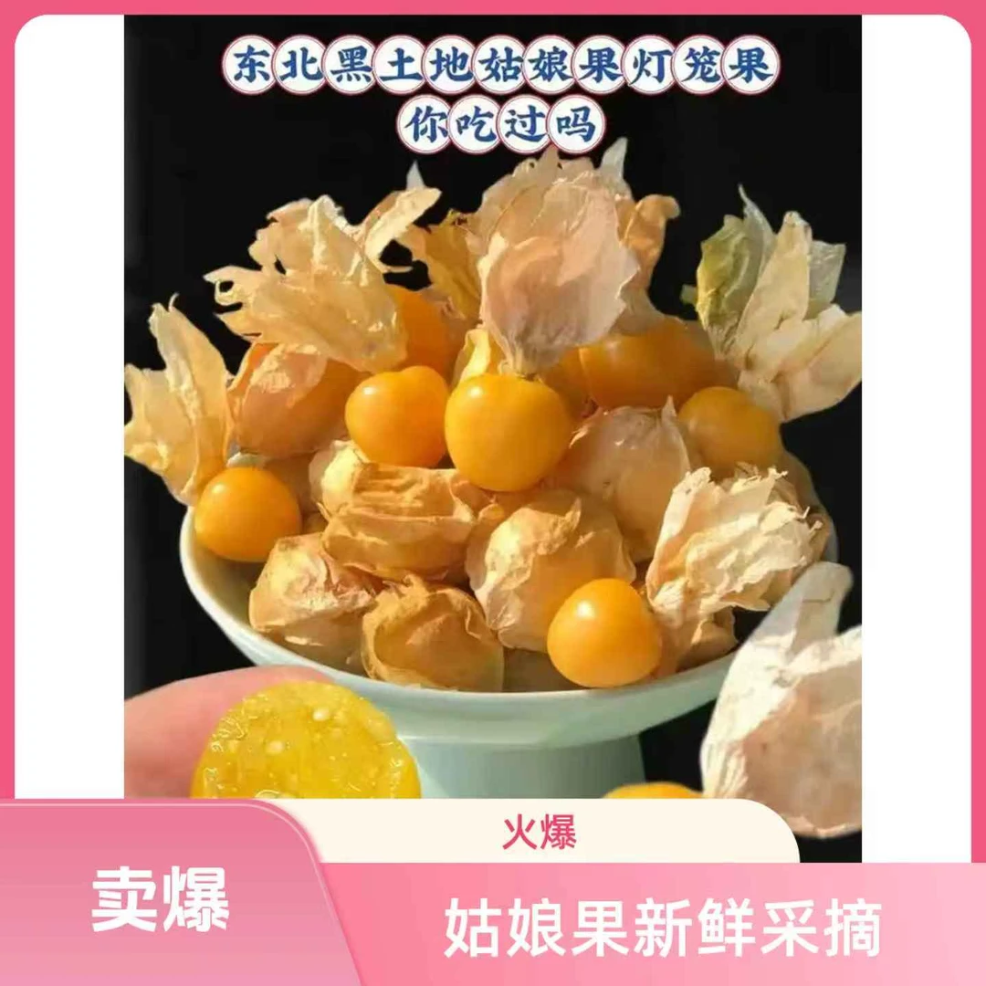 【老闫专属】东北新鲜姑娘果灯笼果香甜可口产地直发