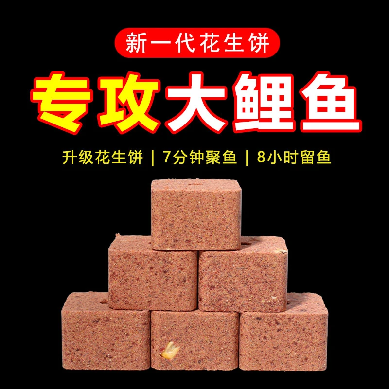 鱼在飞鲤鱼专用饵料窝料花生饼打底隔夜窝黑坑野钓通杀方块窝料