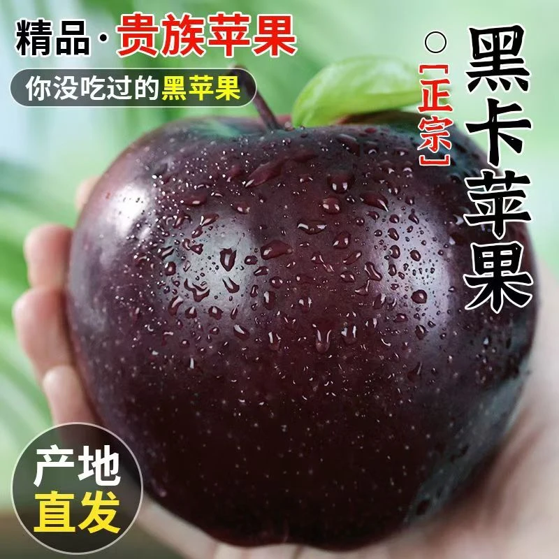 甘肃黑卡苹果黑钻苹果鲜果3/9斤黑色水果新鲜当季甜冰糖心粉糯