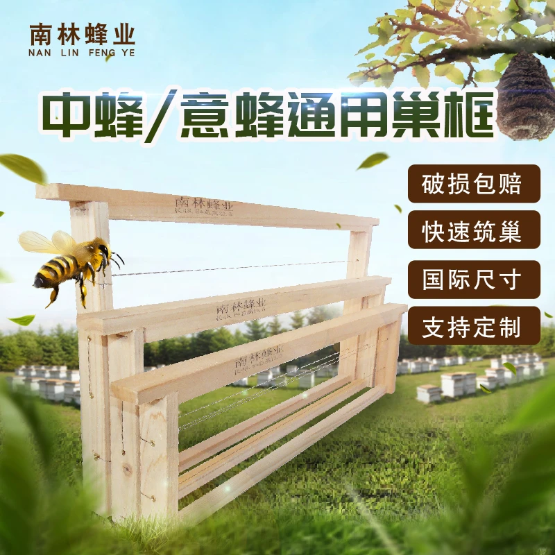 中蜂巢础巢框蜂巢八千巢础意蜂成品全套带框蜜蜂巢脾蜂箱养蜂工具