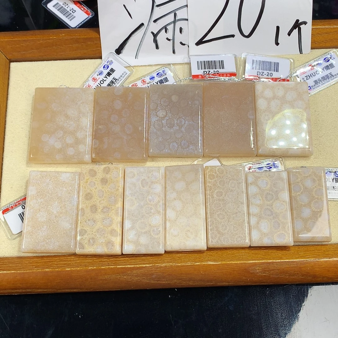 硅化珊瑚（珊瑚玉）未镶嵌吊坠(赠链)55号吊坠20一个