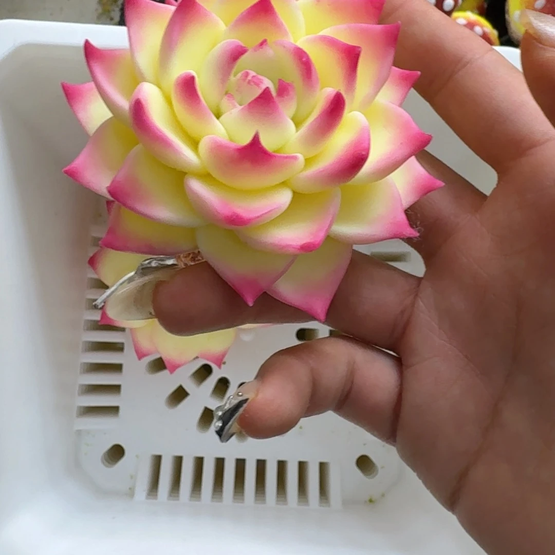 树脂制品40号噢噢噢哦哦