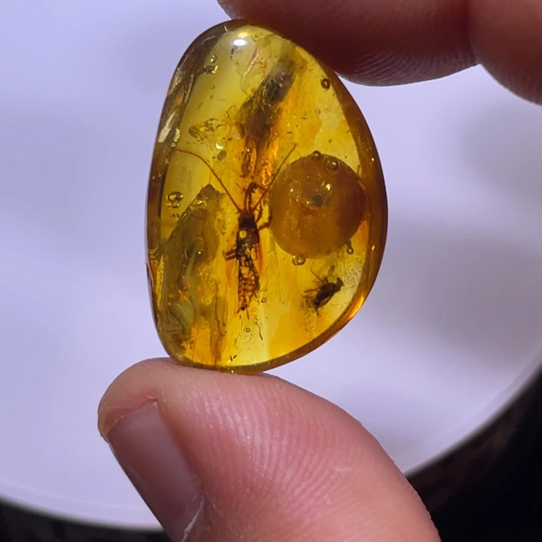 琥珀未镶嵌手链特价虫珀手串