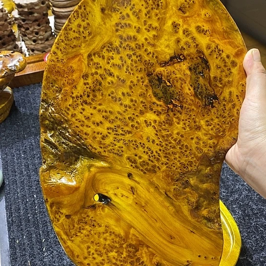 革***”香杉干泡干泡干泡