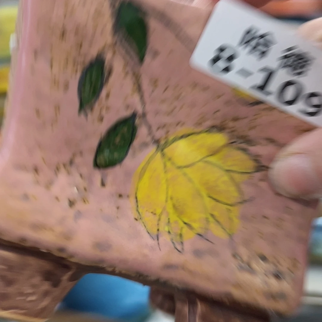 【闪购商品】红陶8109