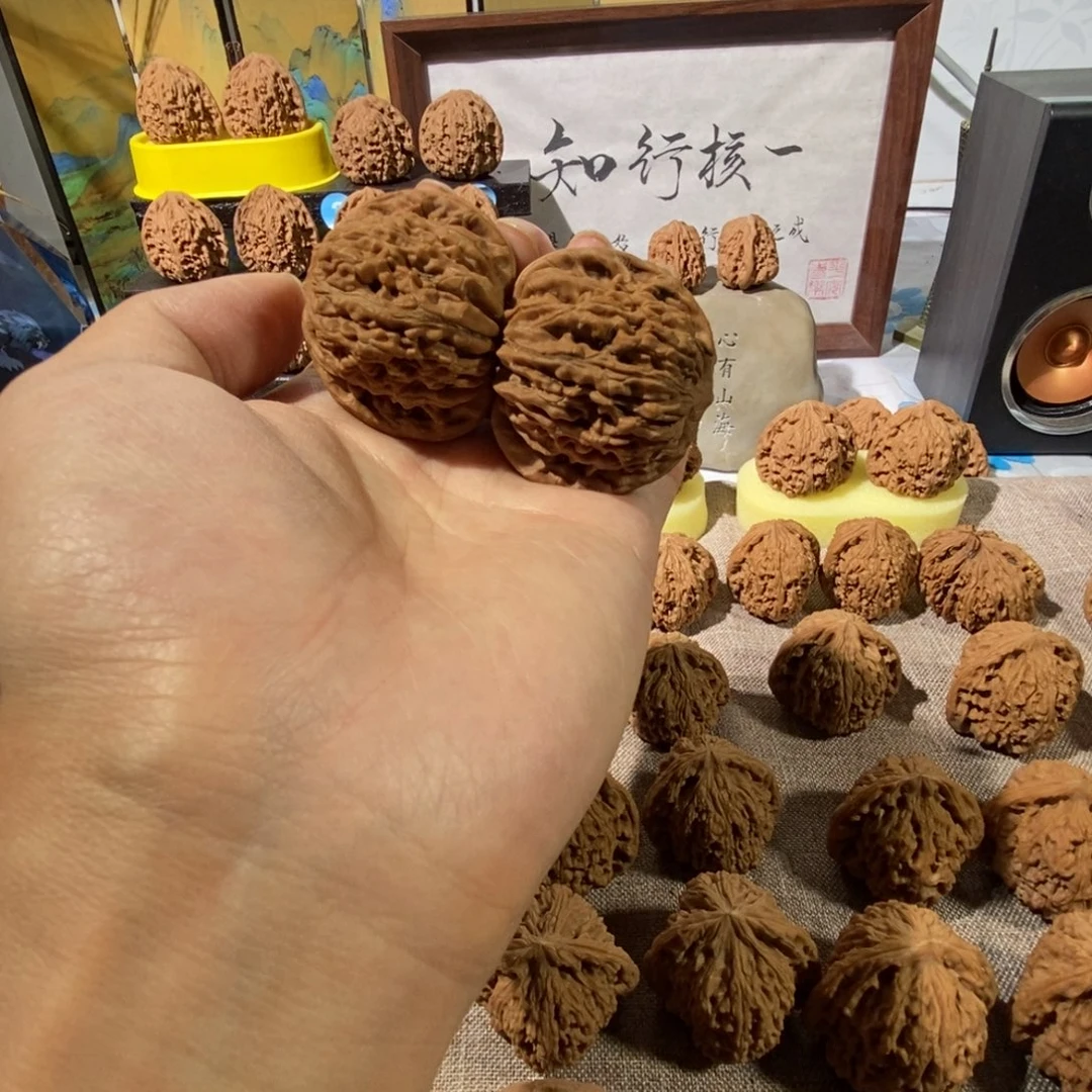 木质类红皮篓子的小猪