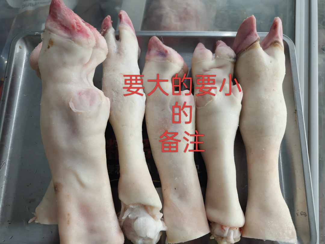 山东清真新鲜生羊蹄羔羊羊蹄顺丰包邮坏了包赔羊蹄子生鲜羊脚