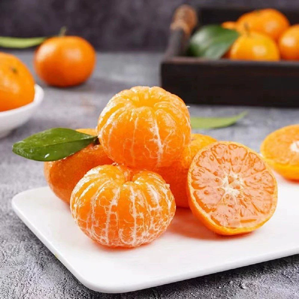 贵州黔南高山早熟清香蜜橘沃柑酸甜可口皮薄多汁蜜橘【现摘现发】