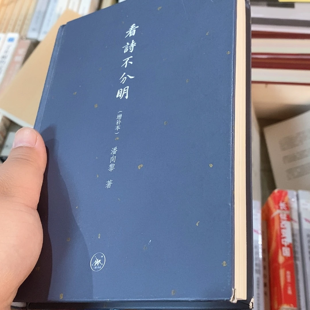 瑕疵   看诗不分明