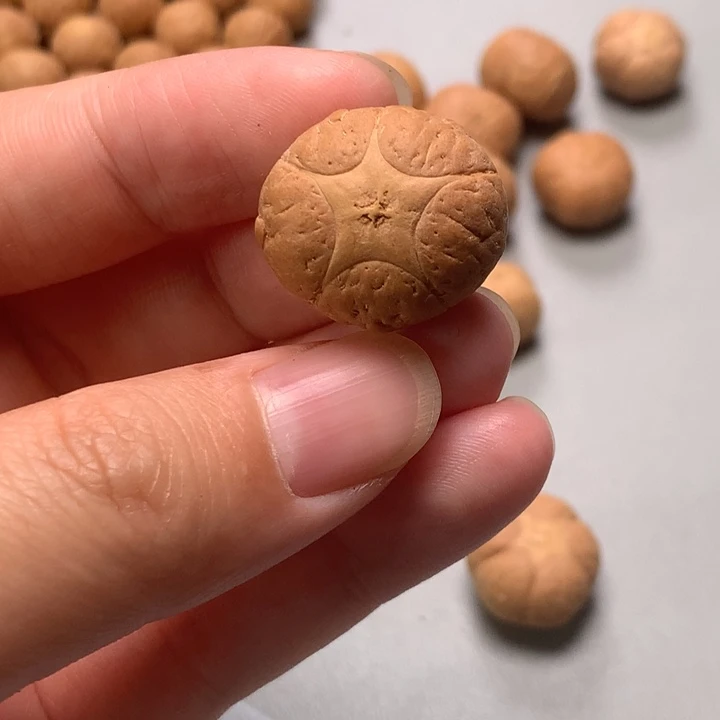 吊坠凤眼菩提五星21.8mm