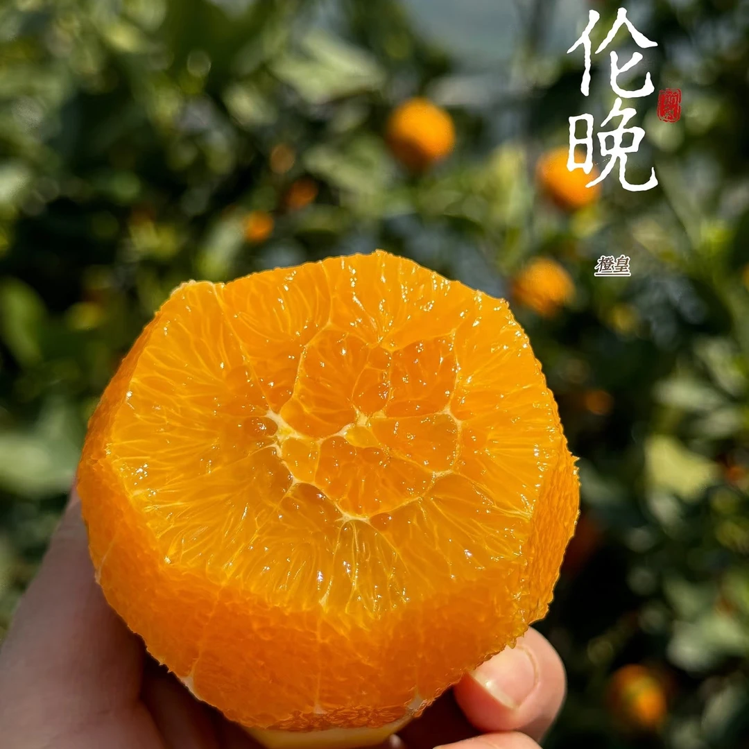 金晚甜橙一箱4斤装（纯甜口感）