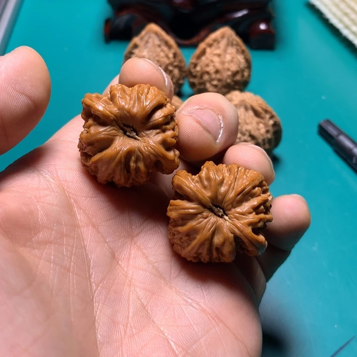 把件文玩核桃艺***店白狮子