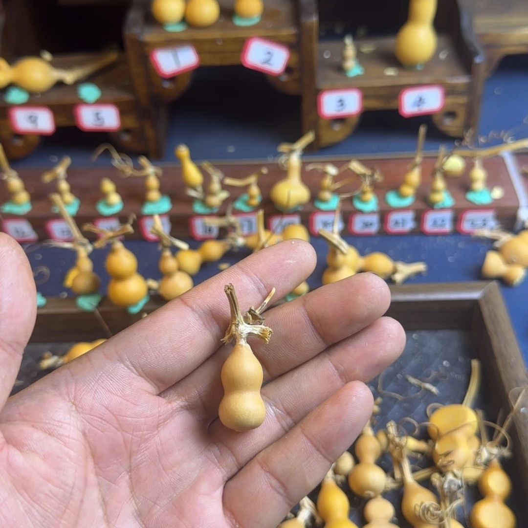 用****1我也是很喜欢这个节目了这个发布会