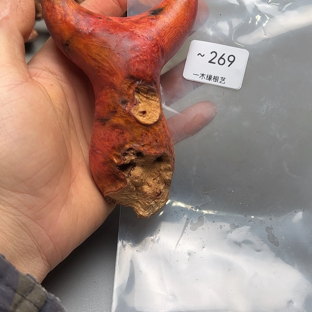 A***迪无花朵         269