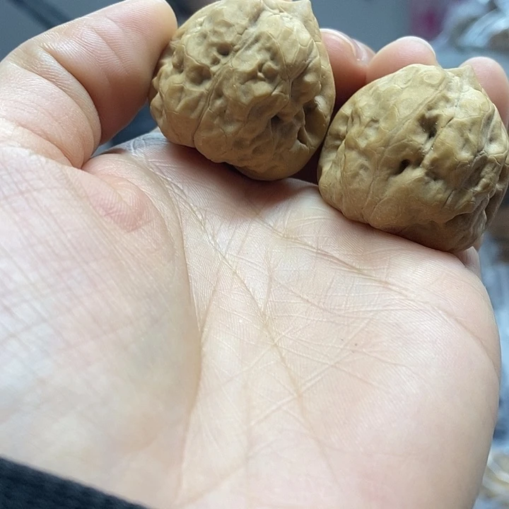 把件文玩核桃34古蝉