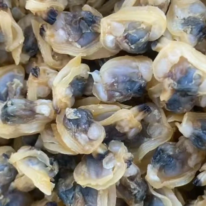 红岛发货干蛤蜊肉不碜鲜甜可直接当零食的干货海鲜