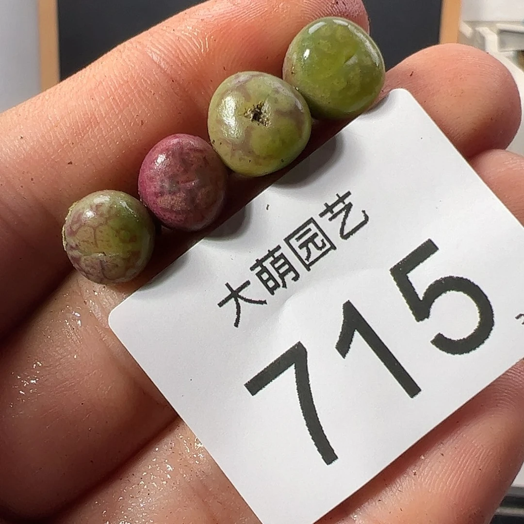 0000715 一物一拍……