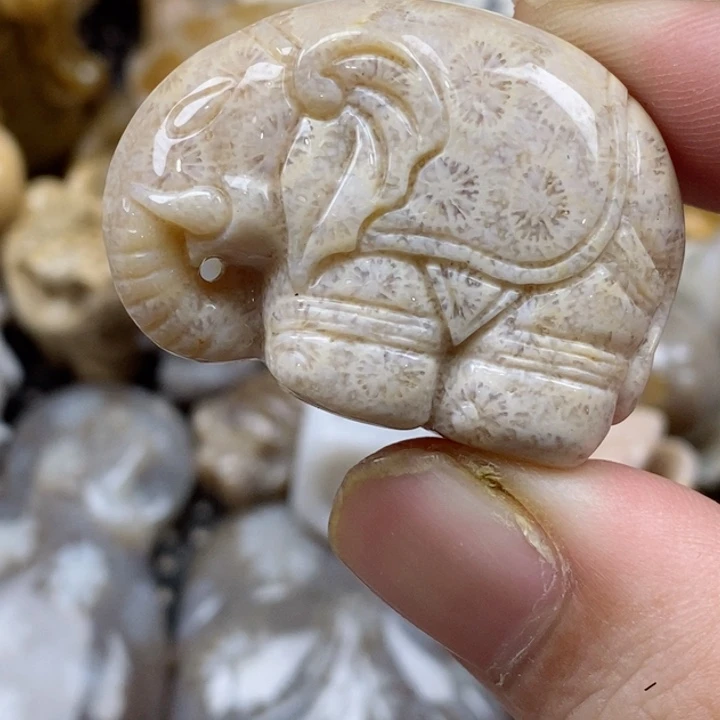 颈饰未镶嵌硅化珊瑚（珊瑚玉）小