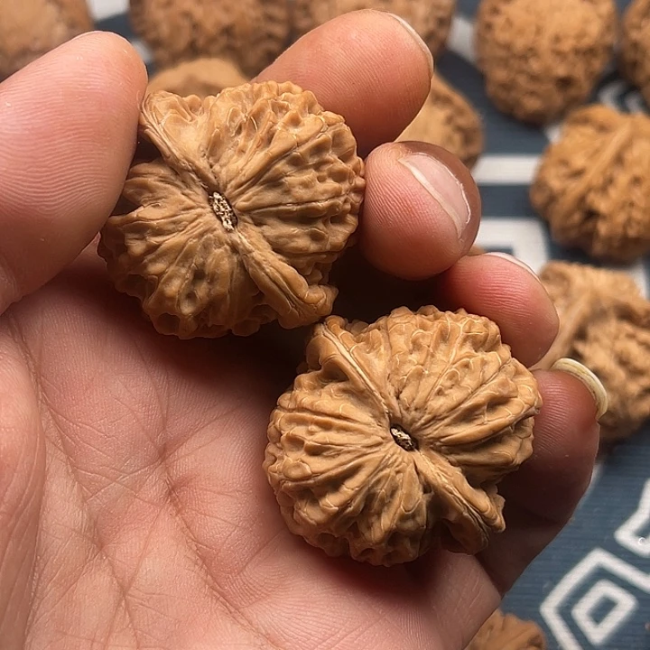 文玩核桃吊坠昆****型核王