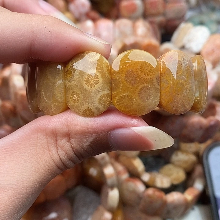 安***问硅化玉颈饰未镶嵌