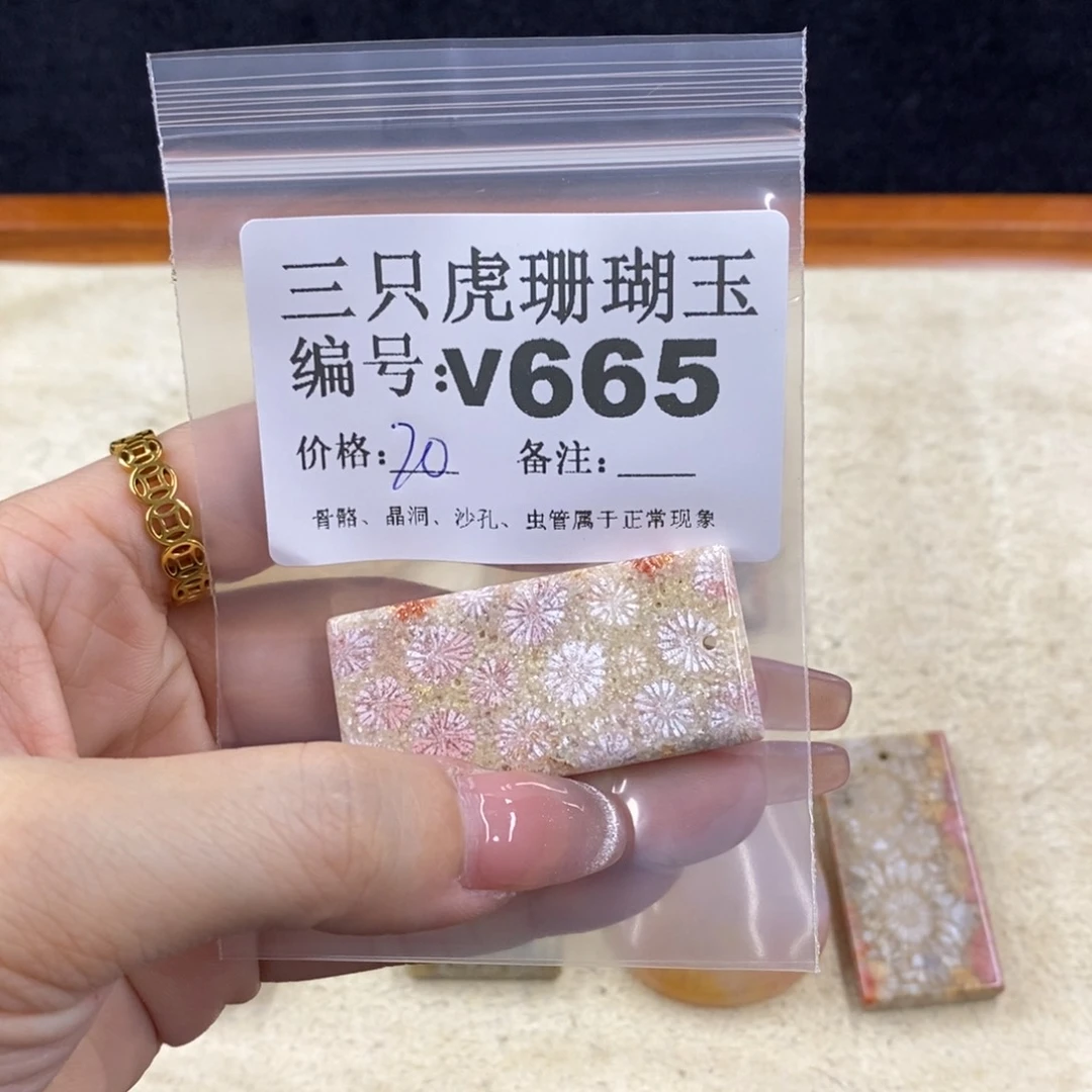 硅化珊瑚（珊瑚玉）未镶嵌1石****玩