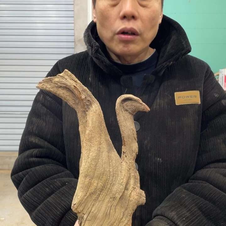 鹰**翼我们都是好孩子呀