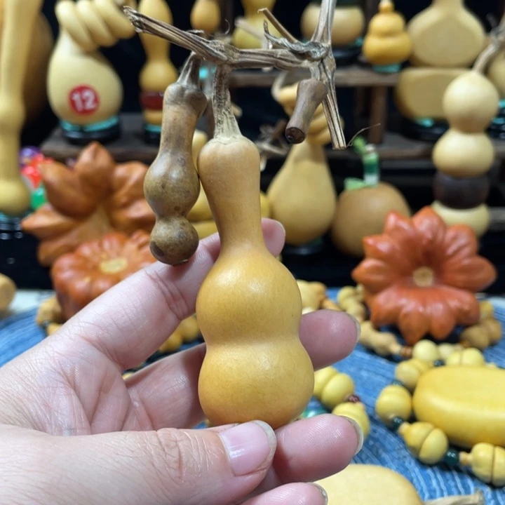 鹿***一20美好的一天从吃瓜开始吧