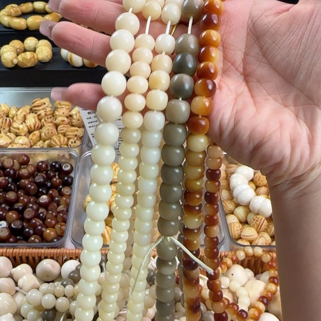 吊坠菩提根/象牙果菩提5条