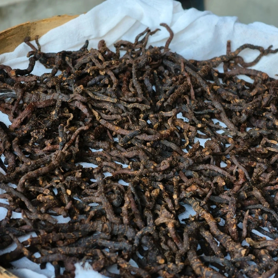 【高原小慧】古法玉竹