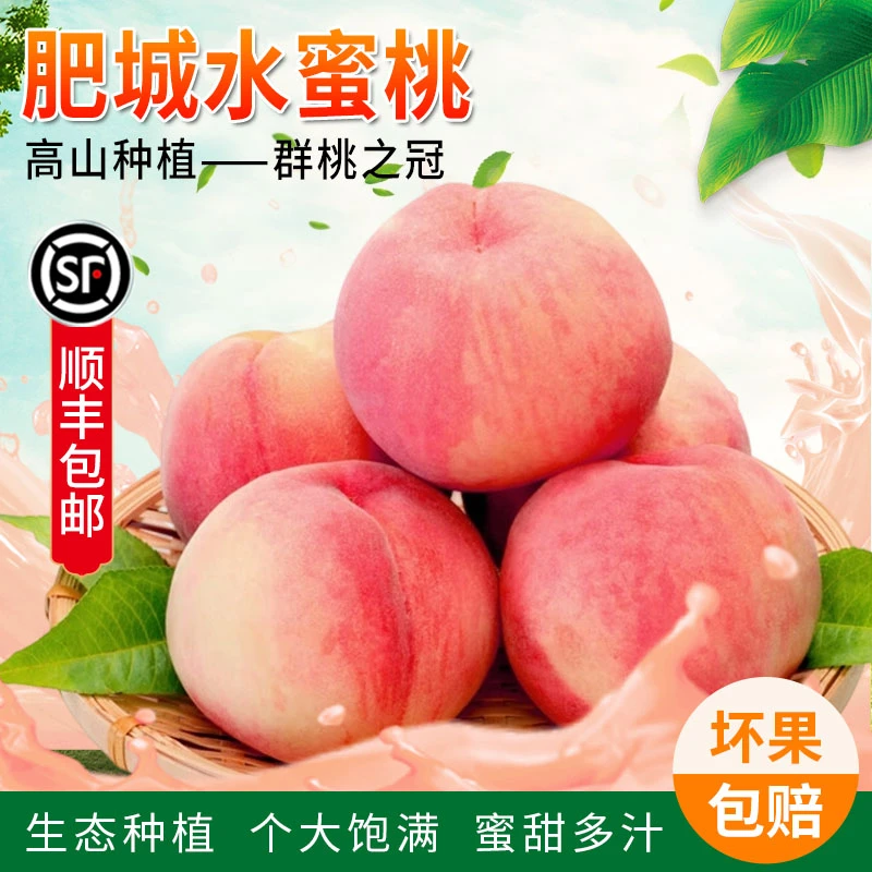 【肥城贡桃】中华寿桃单果一斤半以上大佛桃脆桃