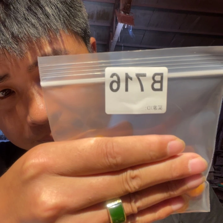 大叶紫檀（黑酸枝木类）716