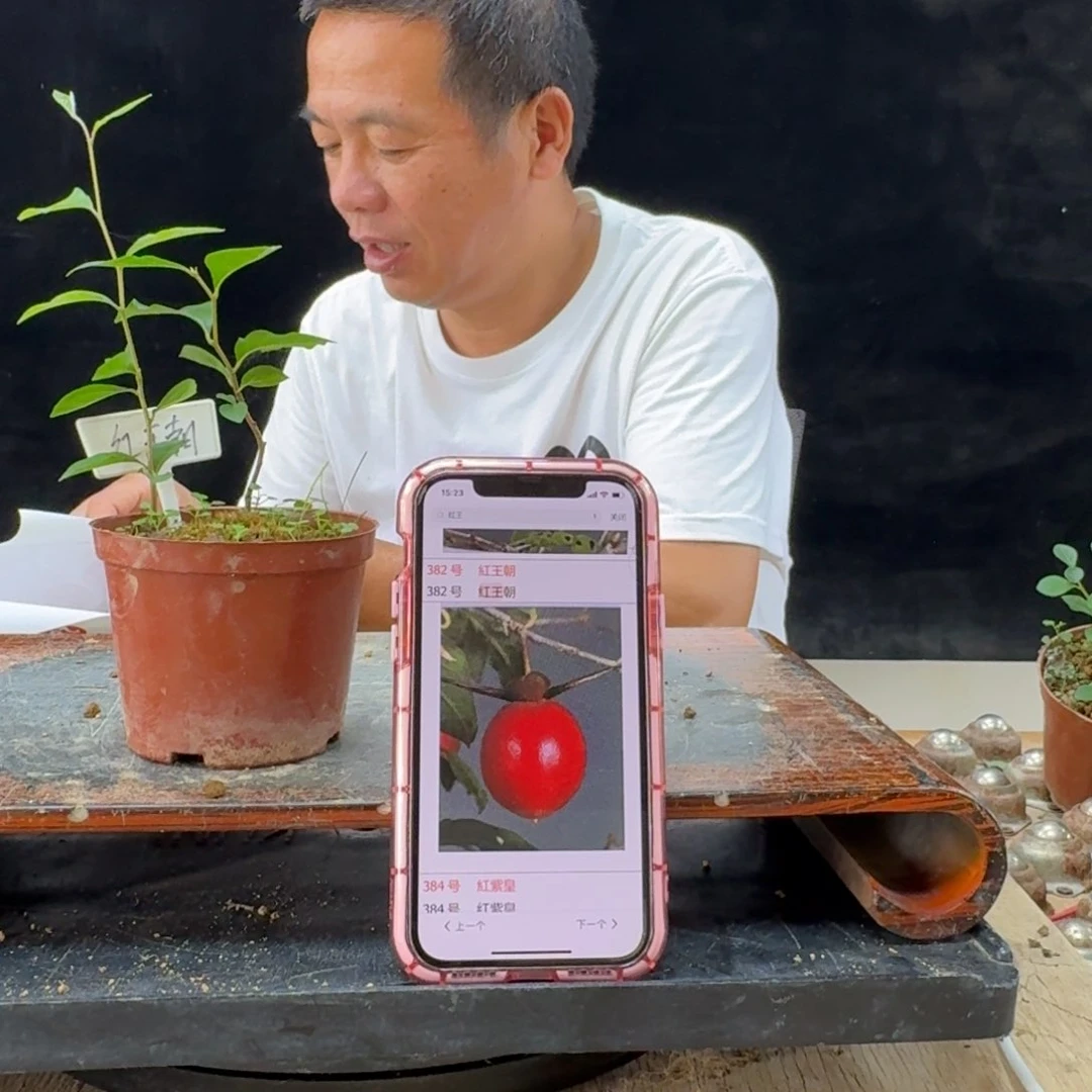 H***e完全开放225顺丰到付不包邮