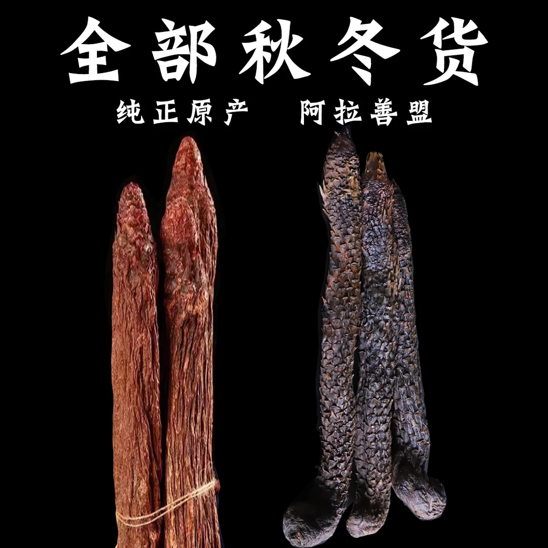 阿拉善荒漠泡水料(重量以直播截图为准)