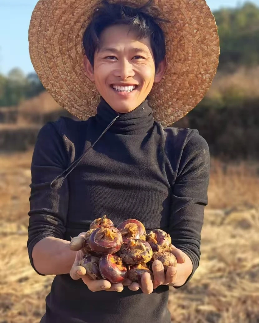 新鲜马蹄荸荠地梨脆甜多汁农户直发