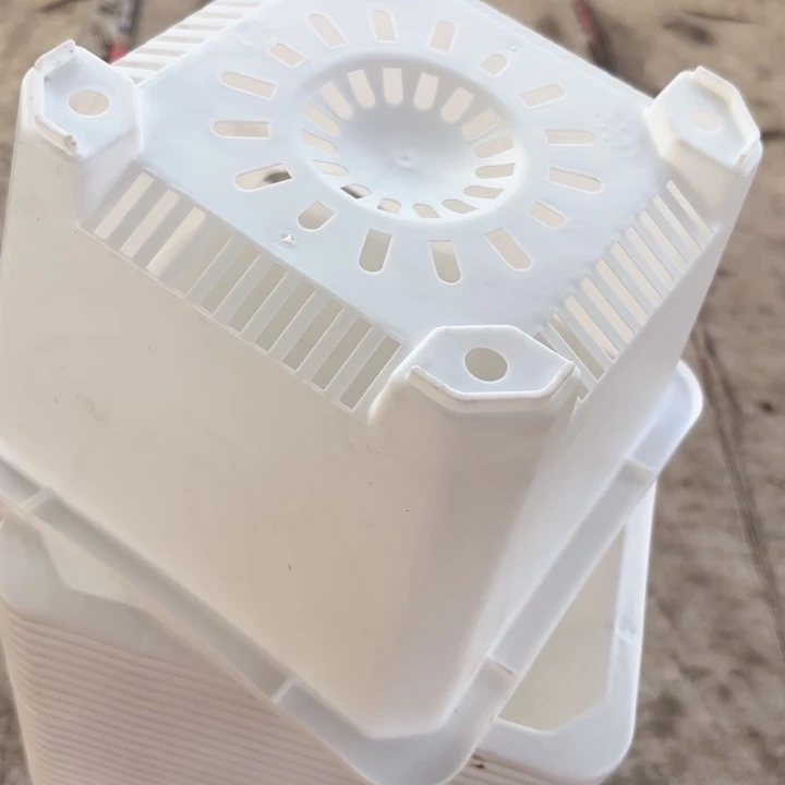 220白方盆20公分高15公分12个