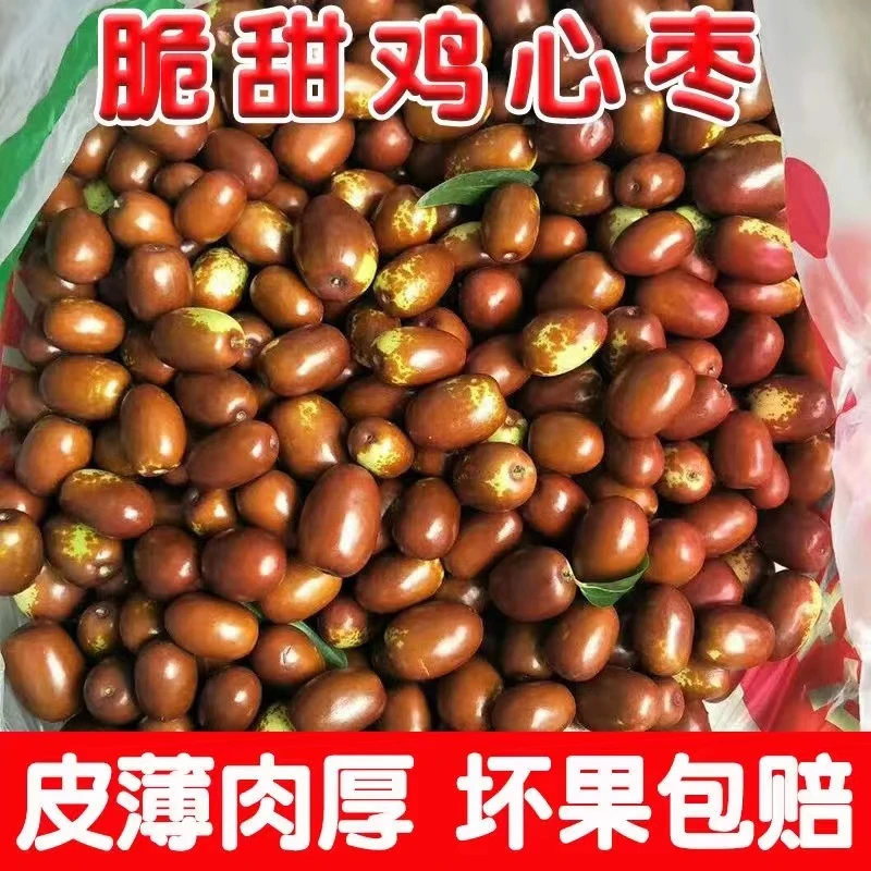 当天采摘新鲜鸡心枣果肉饱满生吃脆甜蒸吃软糯山西特产