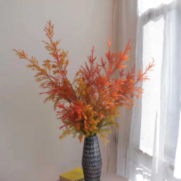 千层金【年宵花】一把鲜切花水养花花卉室内干花