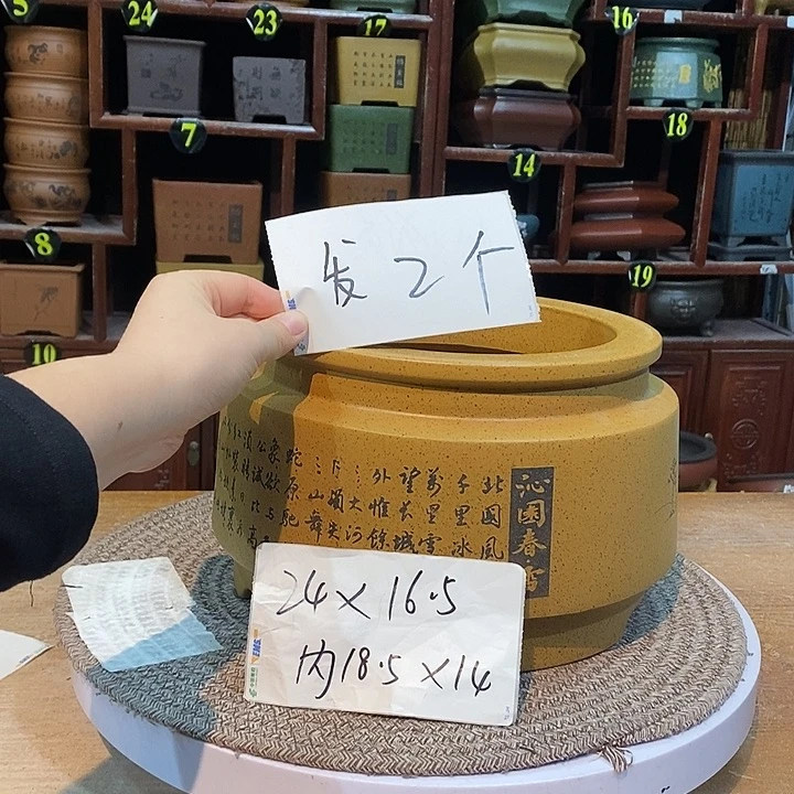 紫砂花盆紫砂花盆