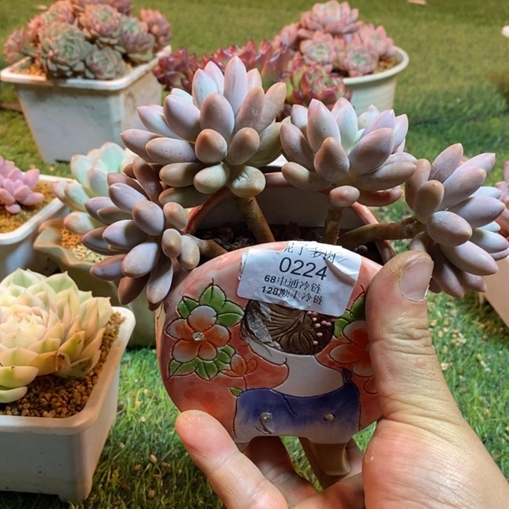 0224啊啊啊啊啊啊啊啊啊啊啊