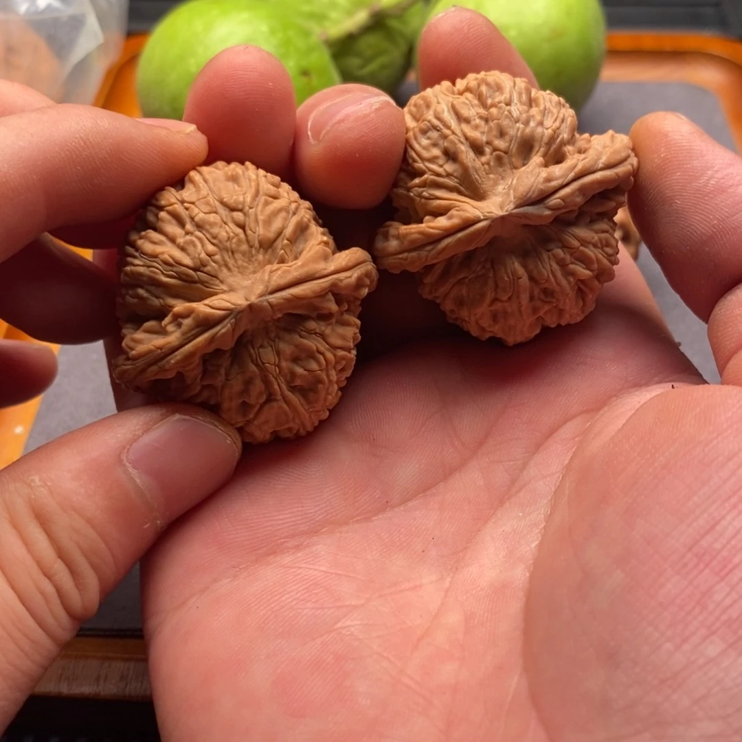 文玩核桃精品对白狮子38全品