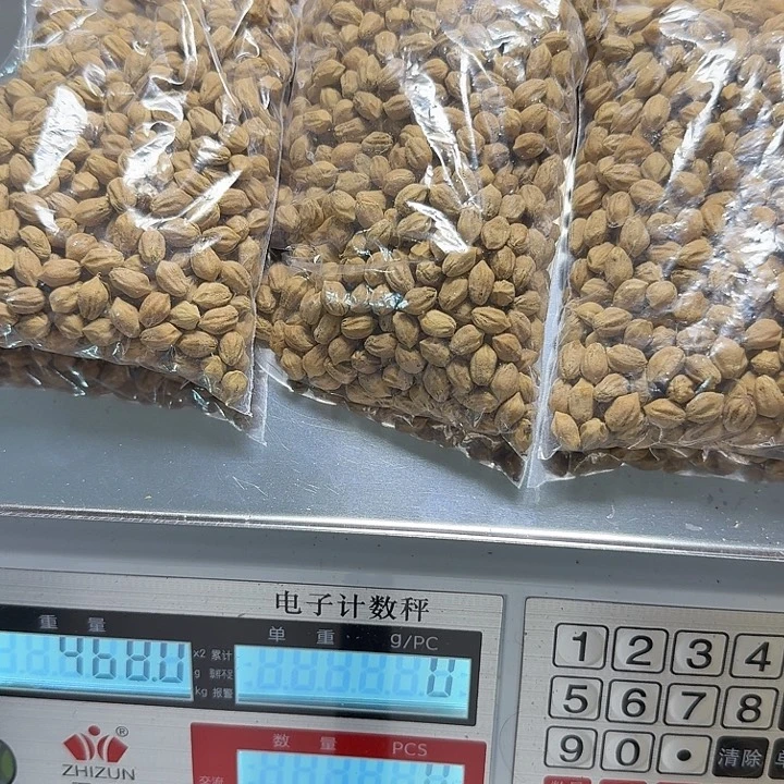 柏香籽/百香籽吊坠