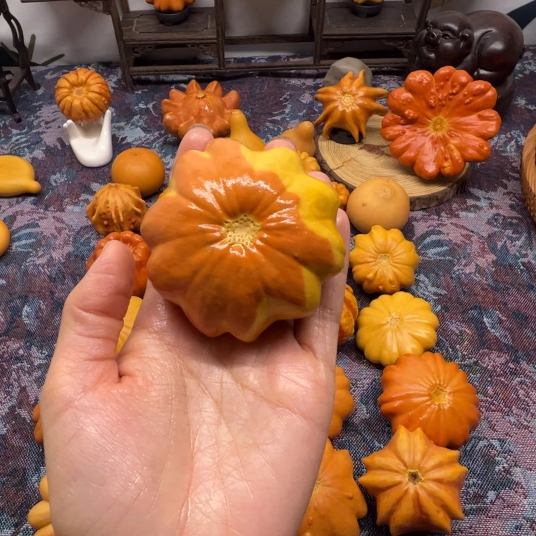 墨西哥葫芦双色小花