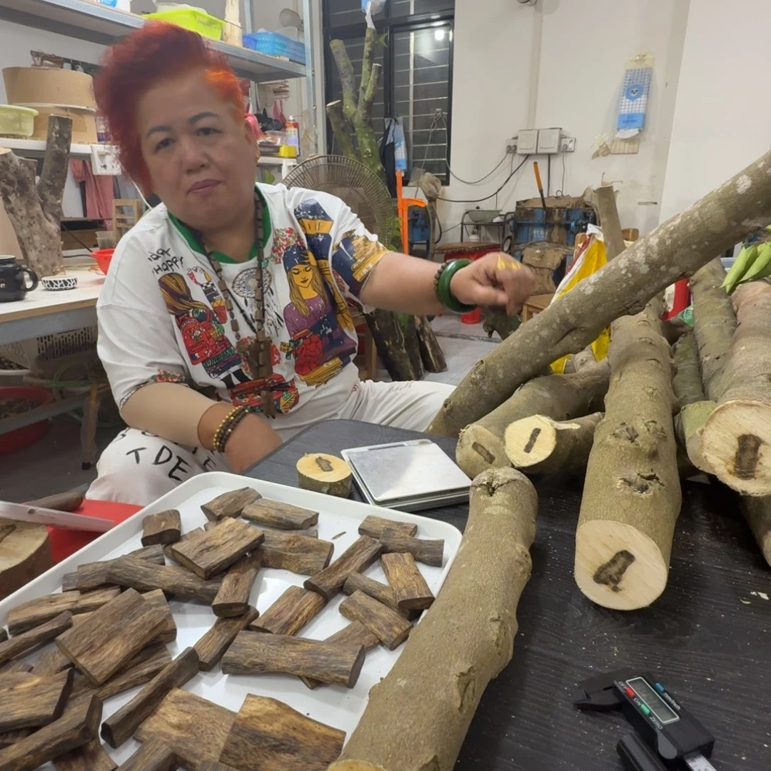 职***猪线香奇楠沉香原木