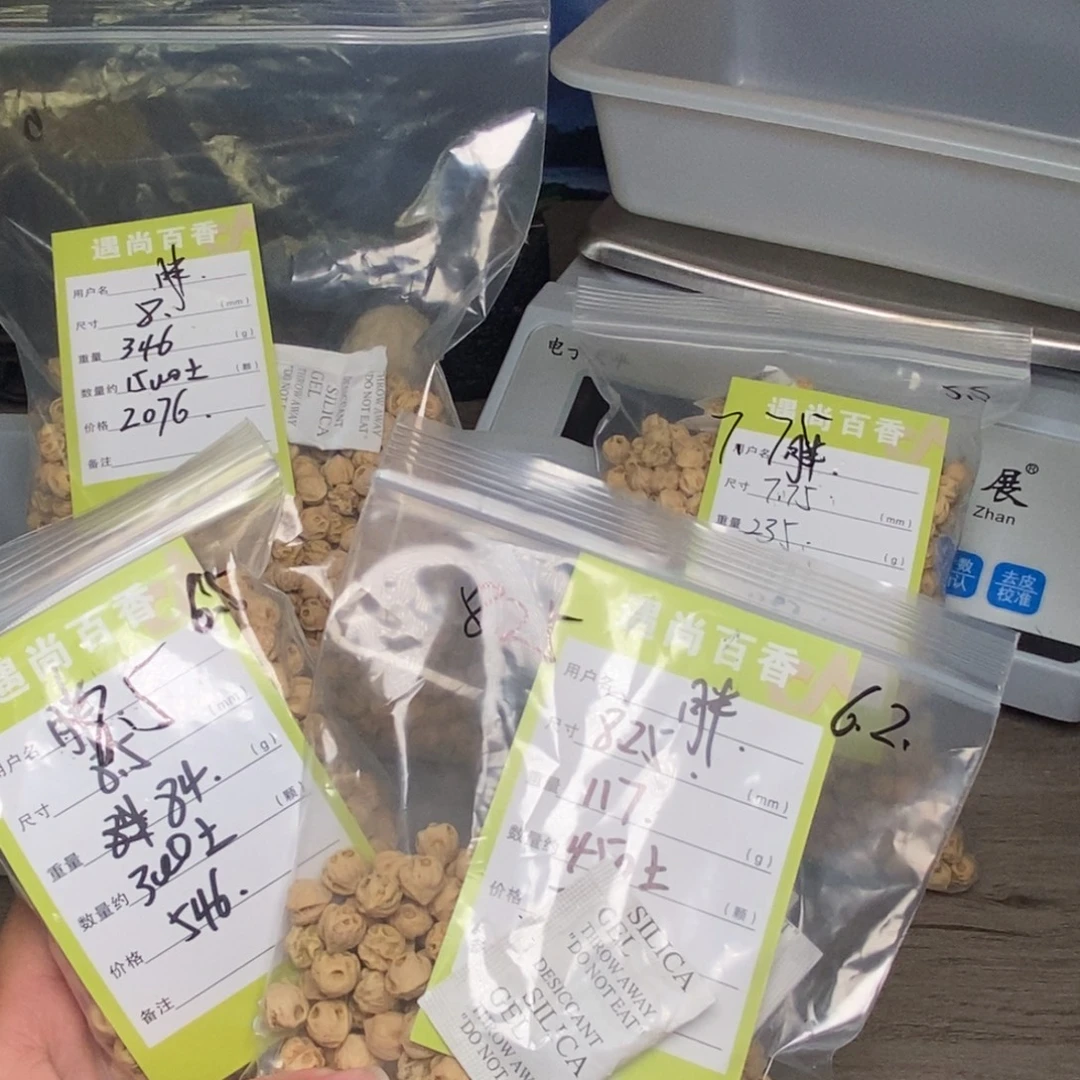 胖***墩柏香籽/百香籽吊坠