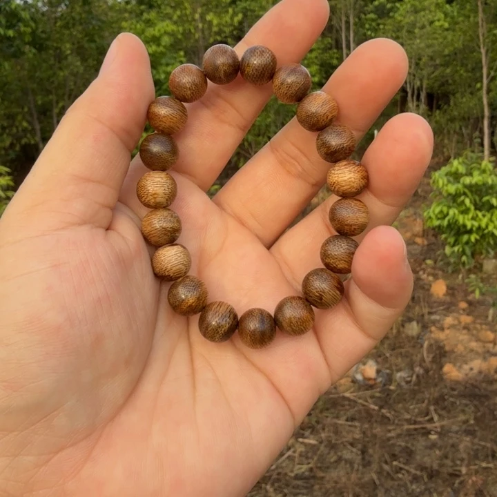 沉香碎屑沉香海南沉香1.0大➕碎屑多样性发一