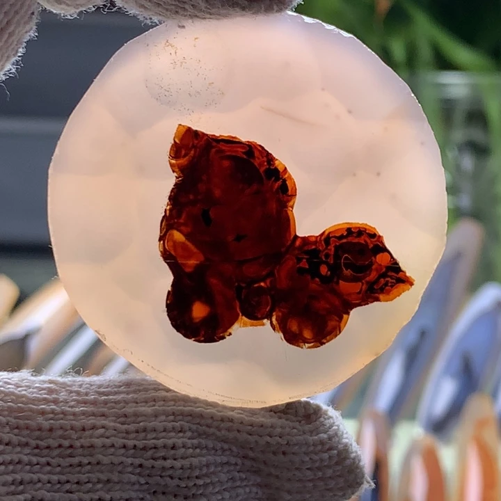 未镶嵌颈饰玛瑙/玉髓104