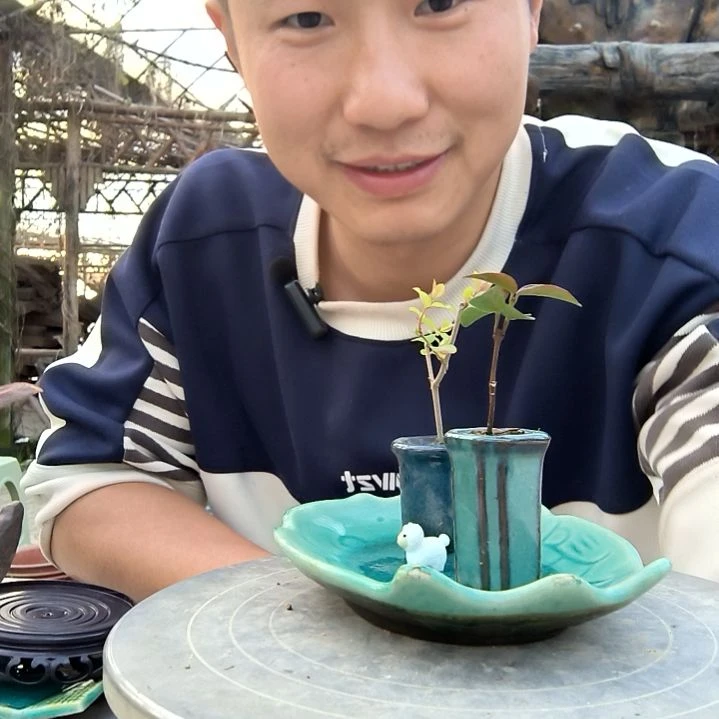 君**?小盆景小植物一物一拍191